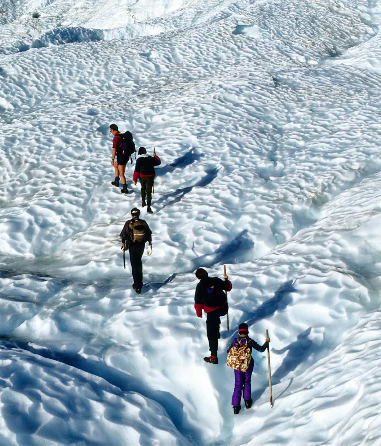 Glacier walking Franz Josef or Fox Glacier Explore stunning blue glacier ice - photo 4