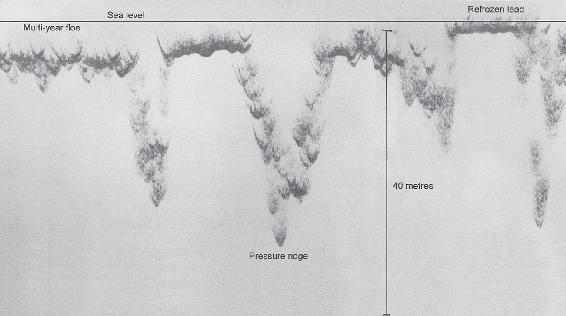 Figure 11 Pressure ridges in multi-year ice recorded by upward-looking sonar - photo 4