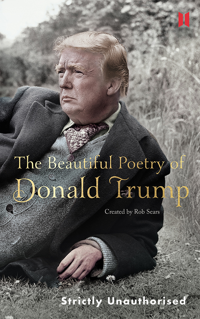 The Beautiful Poetry of Donald Trump Created by Rob Sears CANONGATE - photo 1