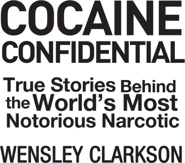 Cocaine Confidential - image 1