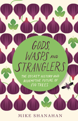 Mike Shanahan - Gods, Wasps and Stranglers: The Secret History and Redemptive Future of Fig Trees