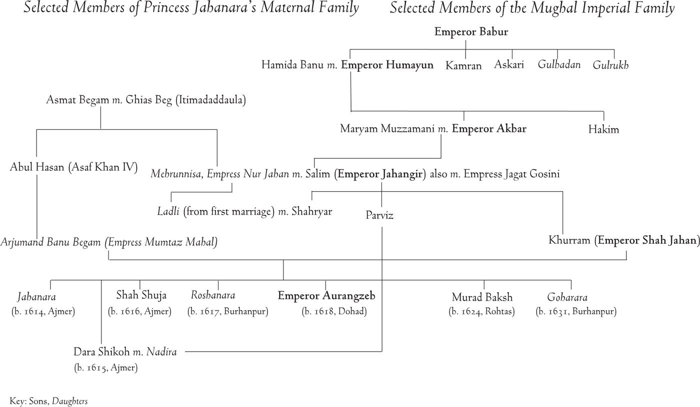 Sketch of the Taj Mahal Complex c1648 Principal Characters In - photo 4