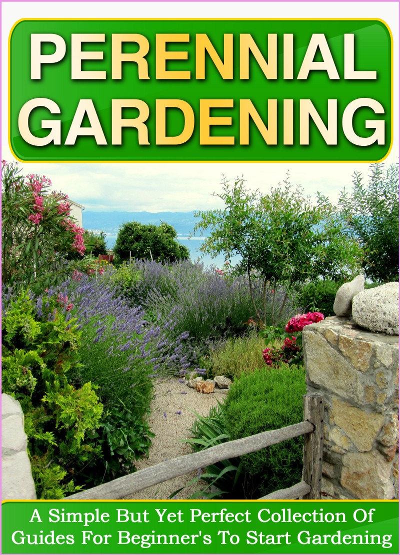 Perennial Gardening A Simple But Yet Perfect Collection Of Guides For - photo 1