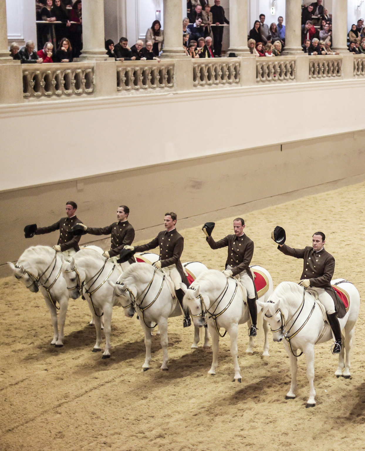 Viennas Spanis Riding School with its Lipizzaner stallions is world famous - photo 4