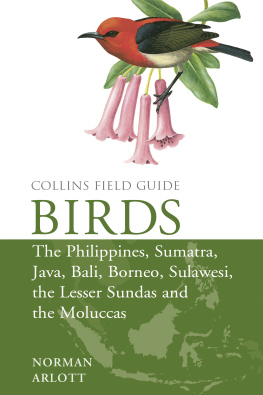 Norman Arlott Birds of the Philippines, Sumatra, Java, Bali, Borneo, Sulawesi, the Lesser Sundas and the Moluccas