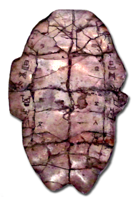 Tortoise Plastron with Divination Inscription Jia and Scapula Bone with - photo 3