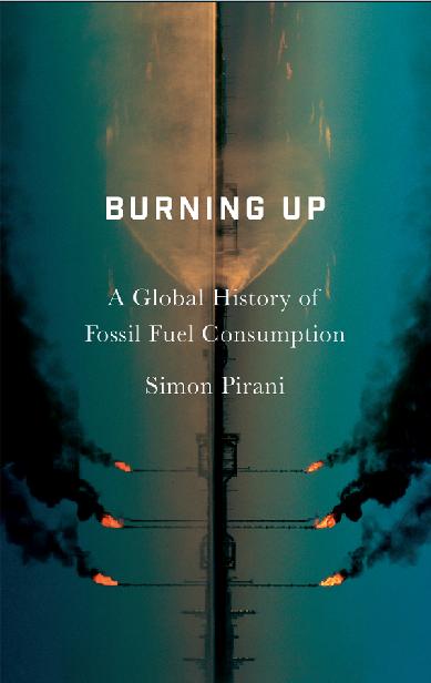 Burning Up Burning Up A Global History of Fossil Fuel Consumption Simon - photo 1