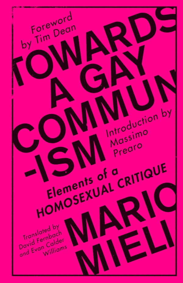 Towards a Gay Communism ltgt Towards a Gay Communism Elements of - photo 1