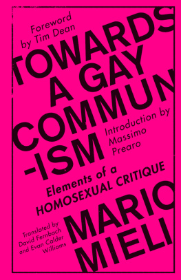 Mario Mieli - Towards a Gay Communism: Elements of a Homosexual Critique