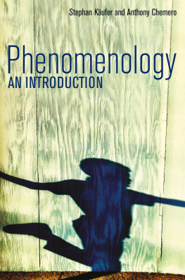 Stephan Kaufer - Phenomenology: An Introduction