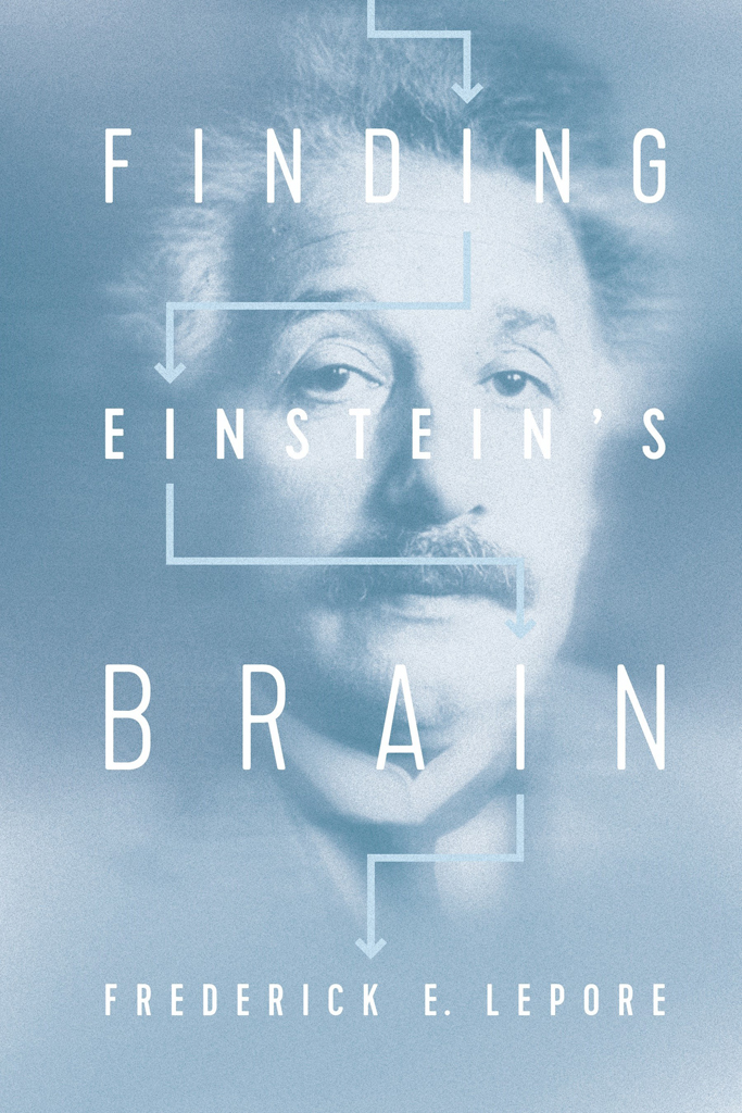 Finding Einsteins Brain Photo courtesy of Brown Brothers Finding - photo 1