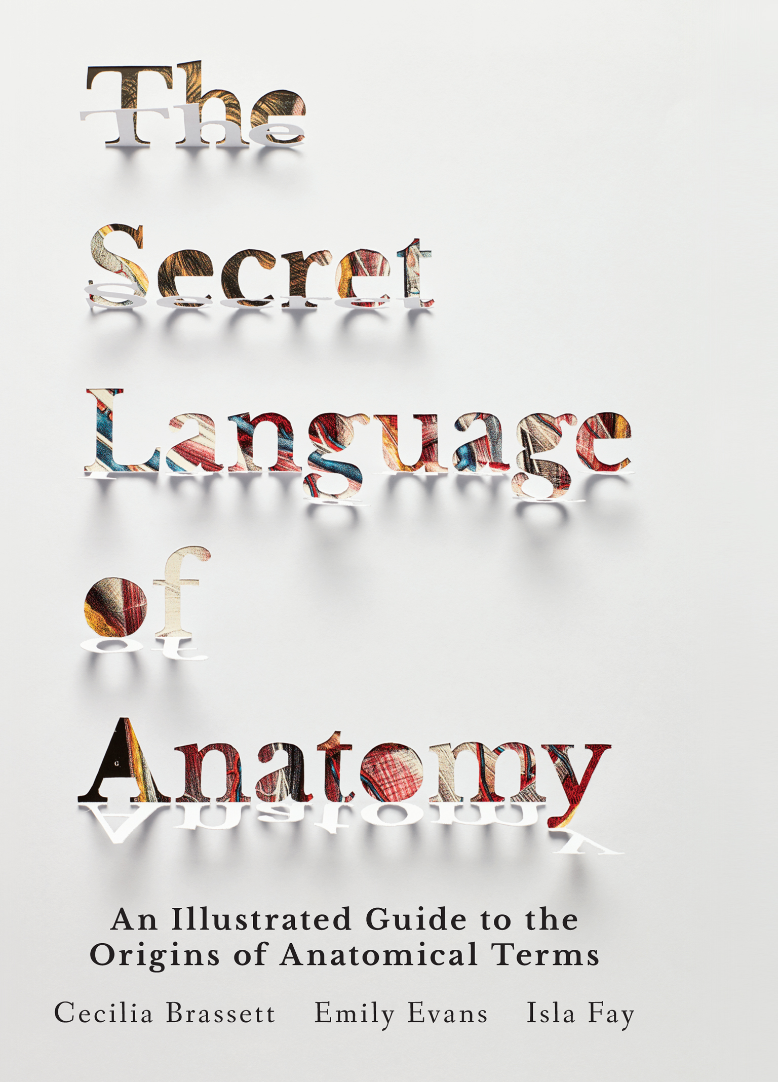 The Secret Language of Anatomy An Illustrated Guide to the Origins of - photo 1