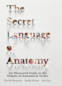 Cecilia Brassett - The Secret Language of Anatomy - An Illustrated Guide to the Origins of Anatomical Terms