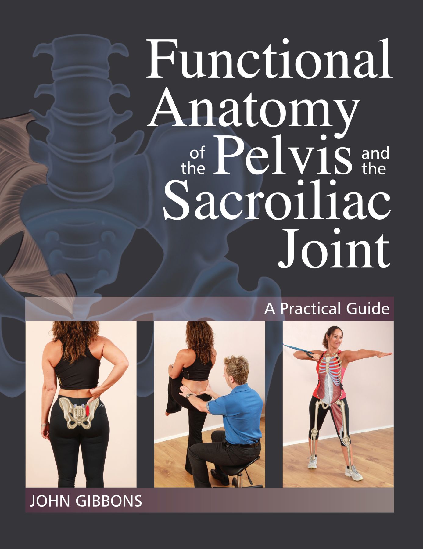 Functional Anatomy of the Pelvis and the Sacroiliac Joint A Practical Guide - photo 1