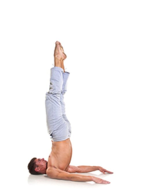 Pose Ardha Shalabasana Or Half Locust Pose Pose Prasarita Padotasana Or - photo 9