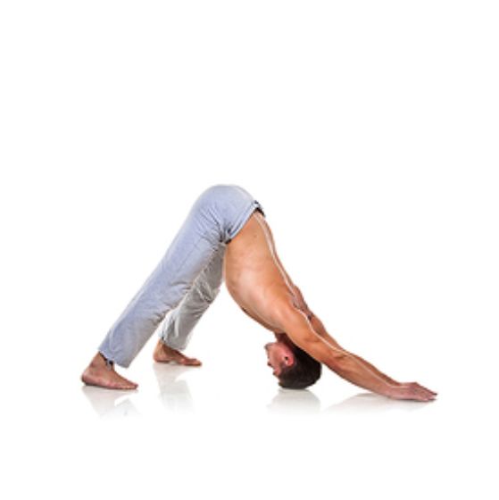 Pose Saral Hasta Bhujangasana Or Straight Arm Sky Face Cobra Pose Pose - photo 18