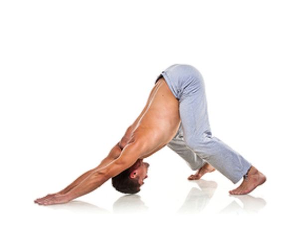 Pose Paschimottanasana Or Seated Forward Bend Pose Sirsasana Or - photo 30