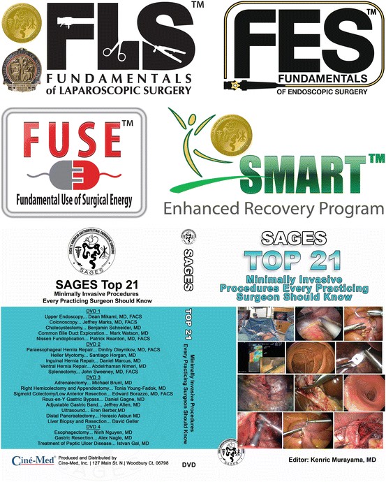 Fig 14 SAGES educational content FLS FUSE FES SMART Top 21 video The - photo 4