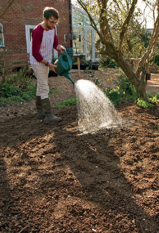 Gardening is all about nurturing life gardening for wildlife allows you to - photo 6