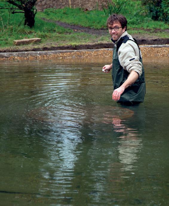 Gardening for wildlife can be great fun offering you all sorts of little wild - photo 7