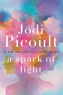 Jodi Picoult - A Spark of Light