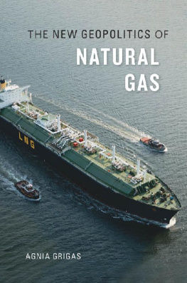 Agnia Grigas - The New Geopolitics of Natural Gas