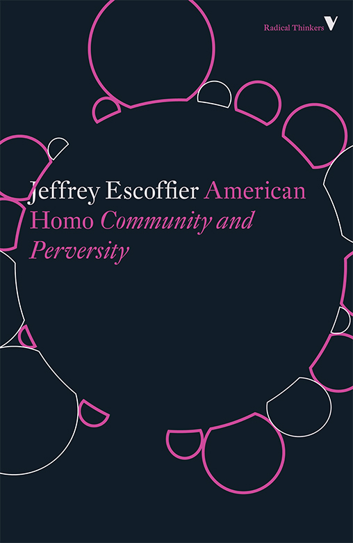 American Homo - Community and Perversity - image 1