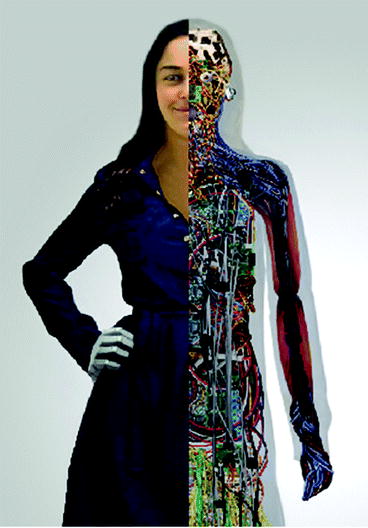 Figure 11 An illustration of a humanlike robot and its internal organs - photo 2
