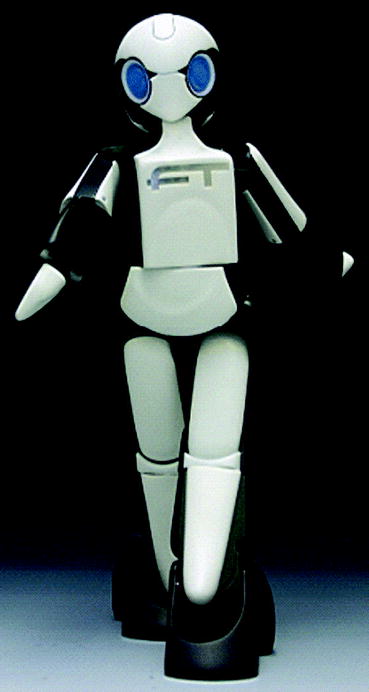 Figure 13 The Female Type by RoboGarage is an example of a robot that can - photo 4