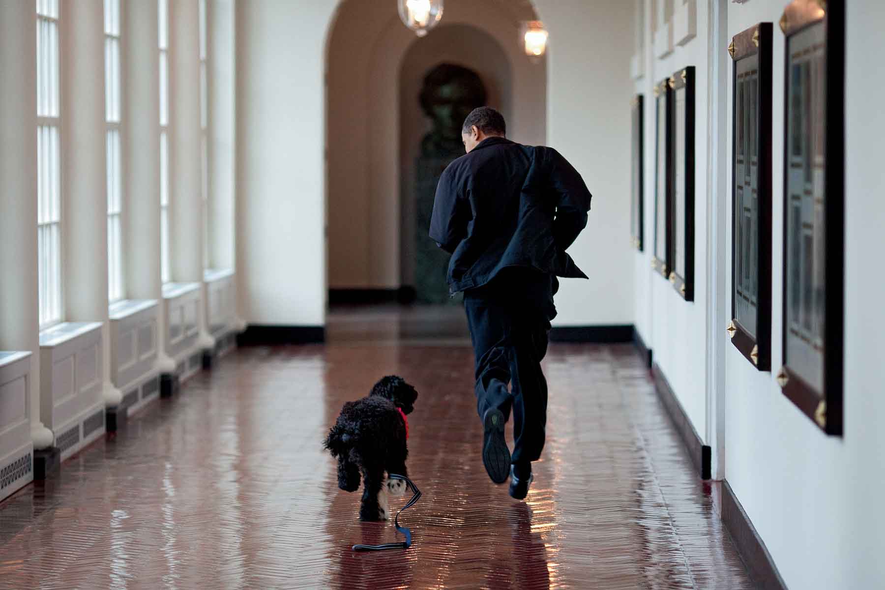 BY BARACK OBAMA Over the course of eight years in the White House I probably - photo 4