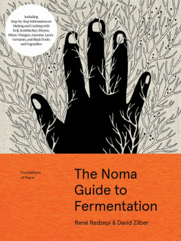 René Redzepi - The Noma Guide to Fermentation