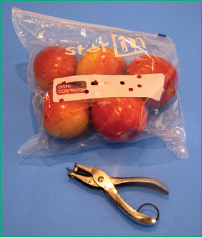 WHAT YOU NEED Hole puncher Resealable plastic bag gallon size Fresh apples - photo 2