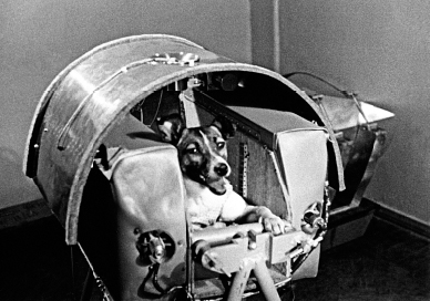 Laikas Window The Legacy of a Soviet Space Dog KURT CASWELL Trinity - photo 2