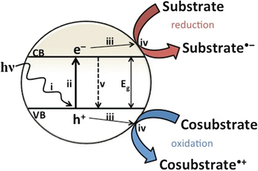 Scheme 12 Elementary steps taking place in a photocatalytic cycle light - photo 2