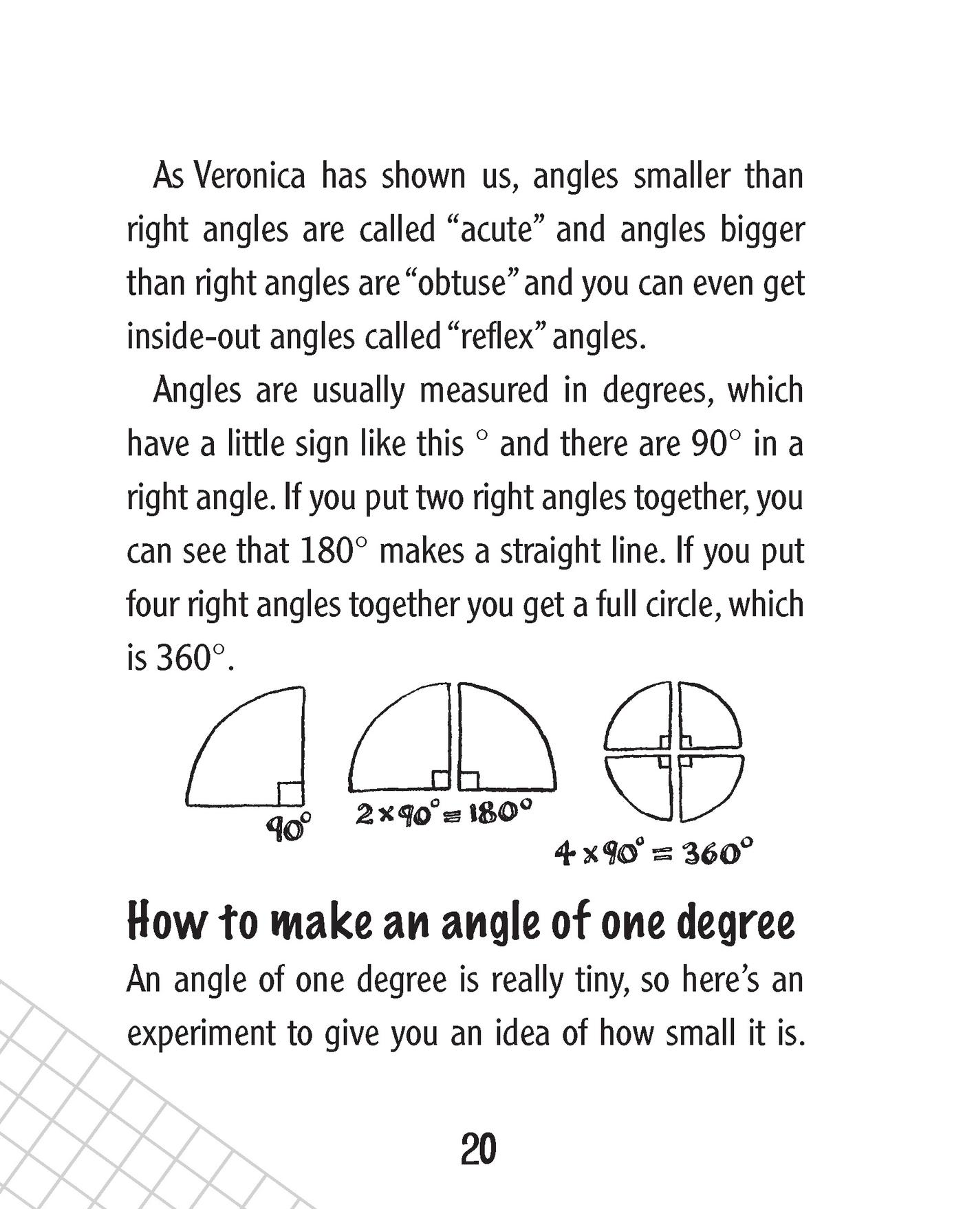 Murderous Maths All Shapes and Sizes - photo 21