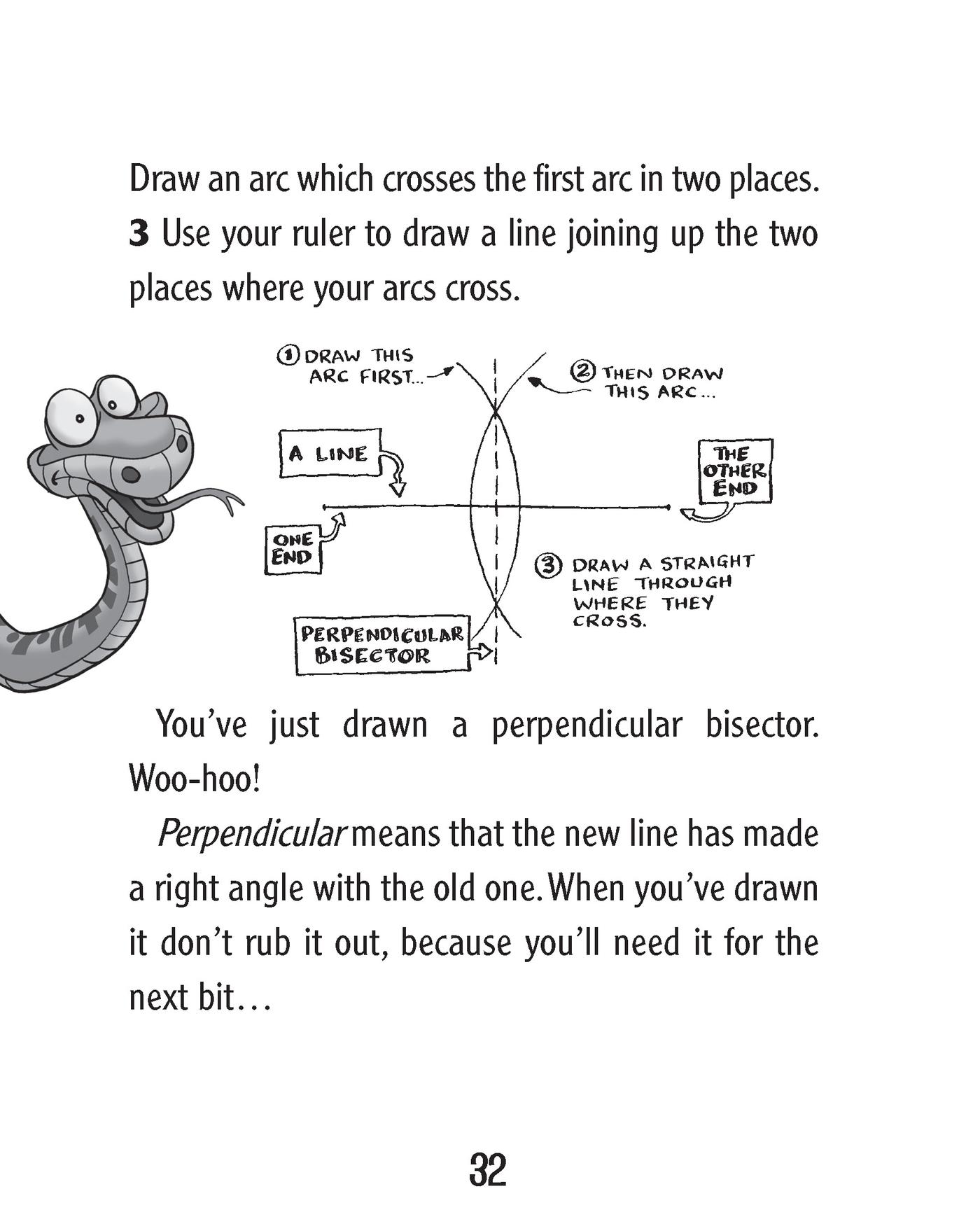 Murderous Maths All Shapes and Sizes - photo 33