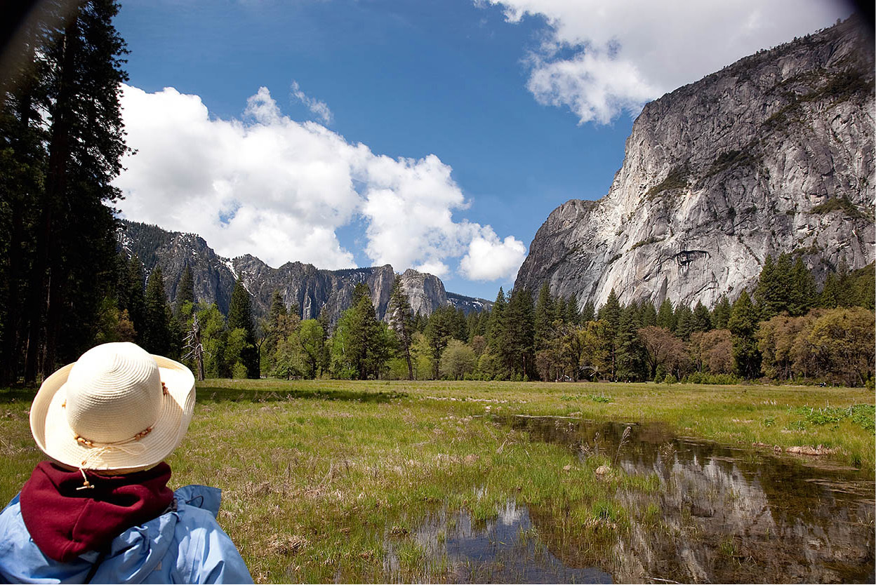 Yosemite National Park From the sheer granite cliffs of El Capitan to - photo 5