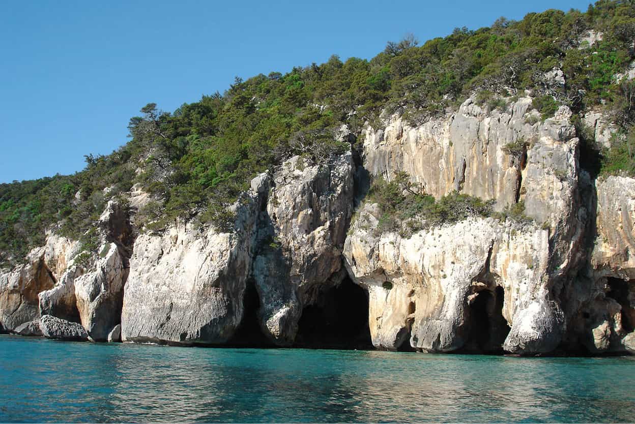 Golfo di Orosei Charter a speedboat and explore 40km 25 miles of wild - photo 9