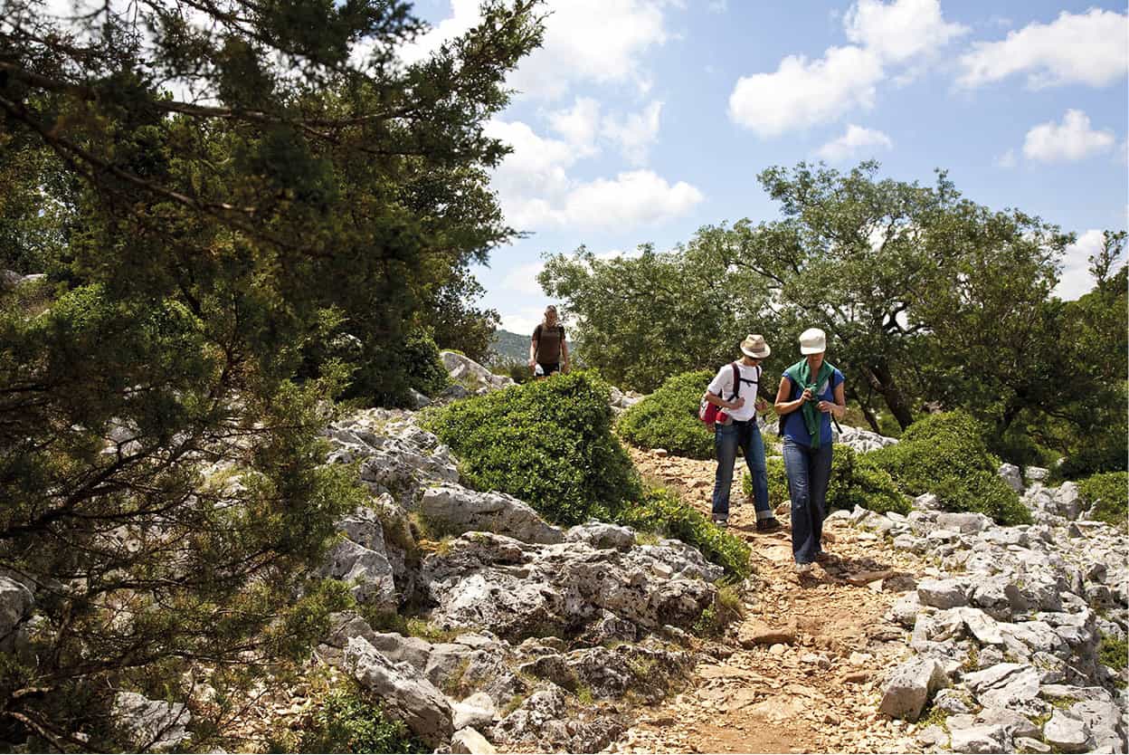 Trekking in the Sopramonte and Ogliastra Get kitted out in your best outdoor - photo 11