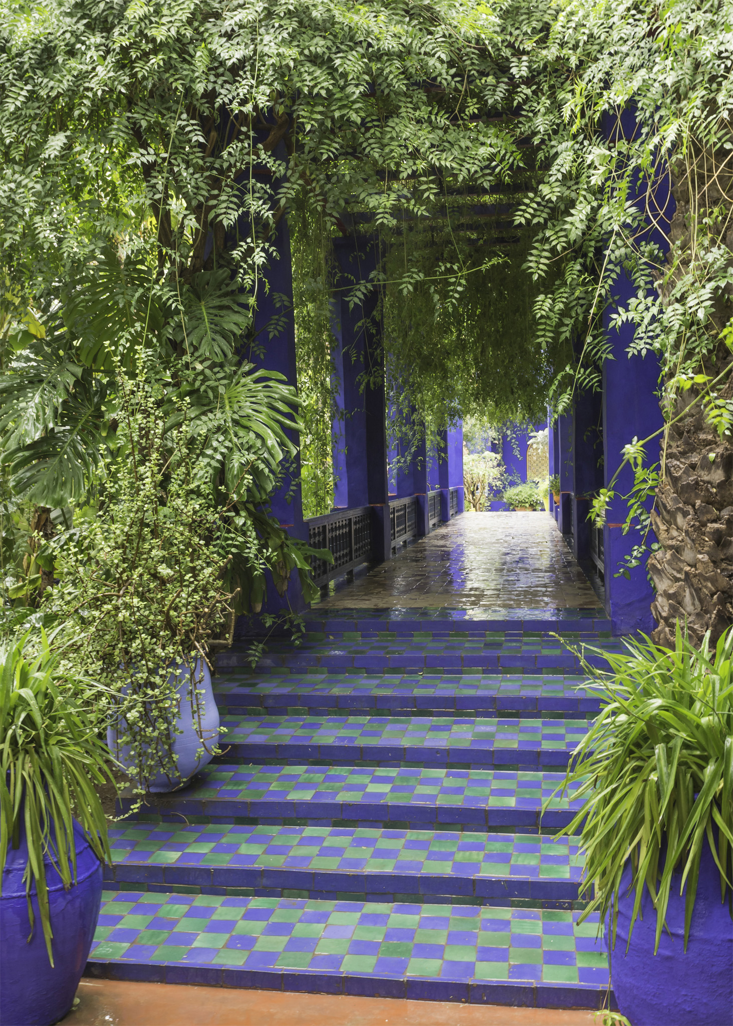 The Majorelle Gardens make for a peaceful getaway from the rush of the Medina - photo 6