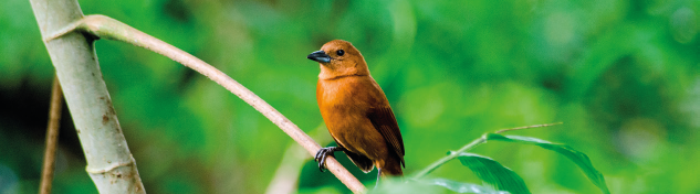 Shutterstock Introduction to Trinidad Tobago Sitting pretty just off the - photo 4