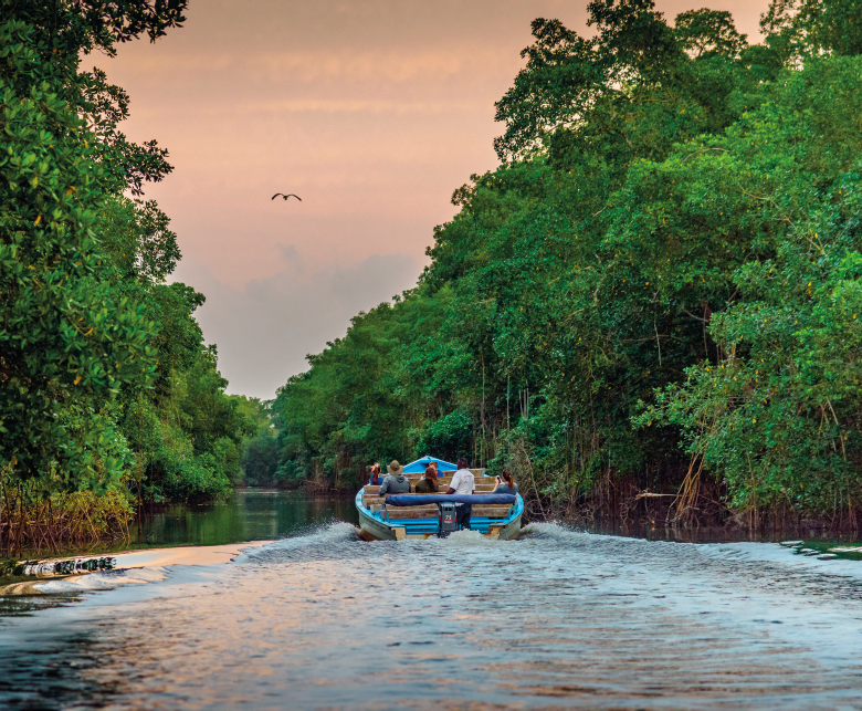 CARONI SWAMP FACT FILE Standing at about 136 million TTs population is - photo 5