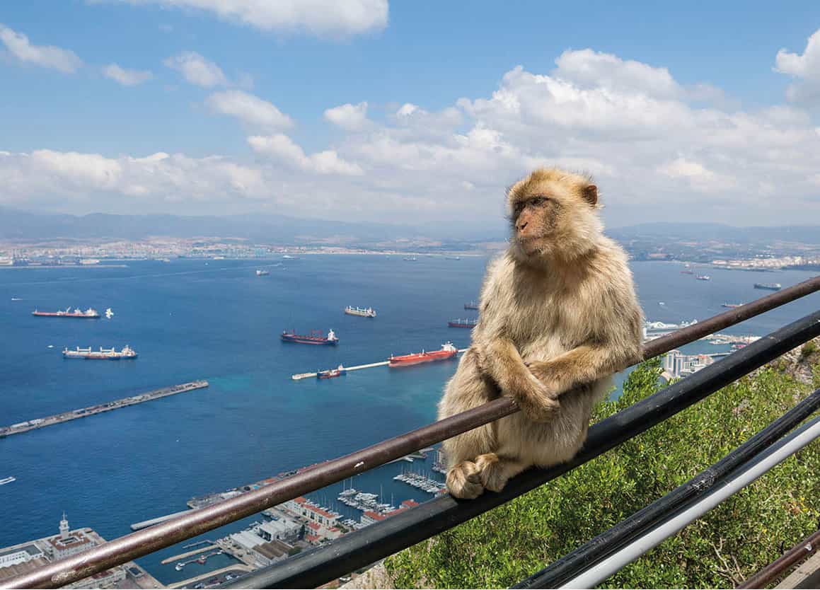 Families Have a thrilling day out with the kids exploring the vertiginous path - photo 6