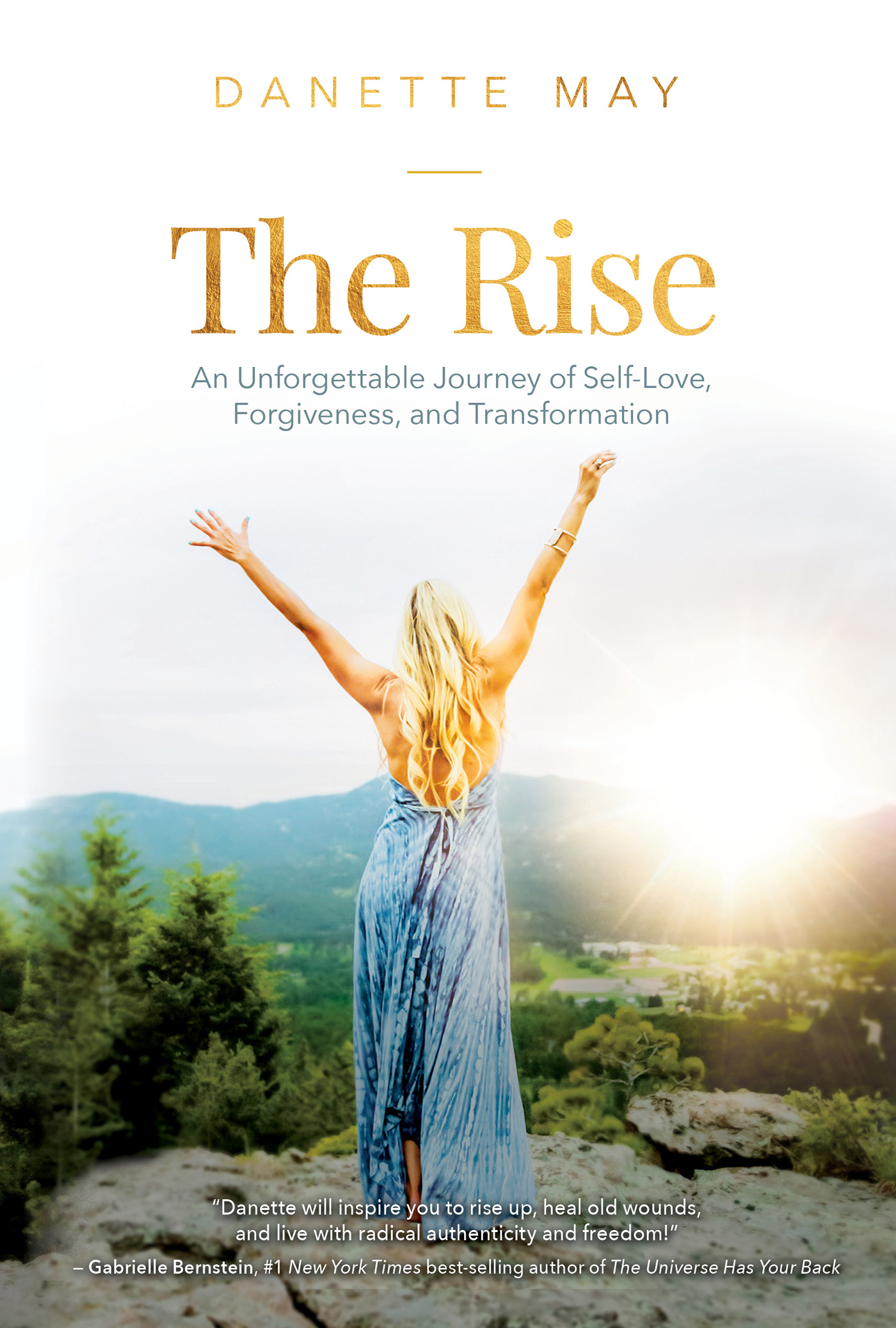 Praise for The Rise My friend Danette shares her transformational story with - photo 1