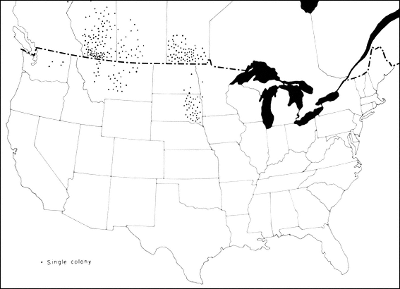 Location of Hutterite colonies in the United States and Canada HUTTERITE - photo 3