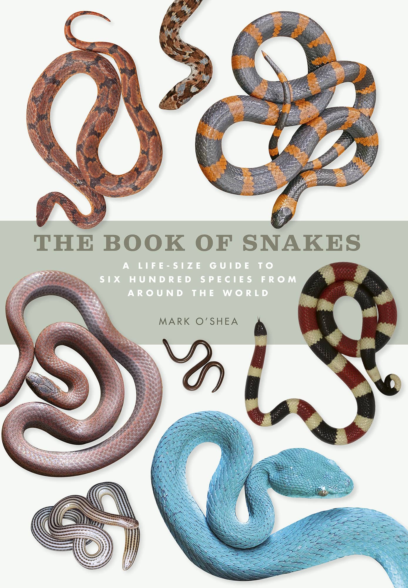 THE BOOK OF SNAKES A LIFE-SIZE GUIDE TO SIX HUNDRED SPECIES FROM AROUND THE - photo 1