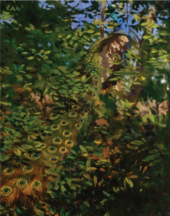 Abbott Thayers Peacock in the Woods 1907 painted to suggest that the bird - photo 12