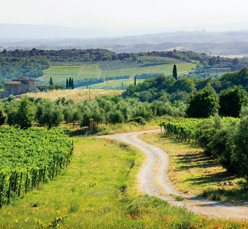 Rolling Tuscan landscape with vineyards and cypress trees The diverse sights - photo 5