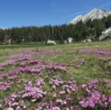 Top Trails Yosemite 45 Must-do Hikes for Everyone - photo 11