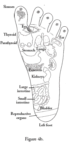 Benefits of reflexology of the face Increases mental energy Regulates - photo 7